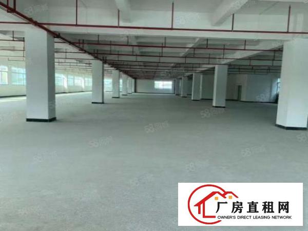  石排楼上标准厂房3000方出租租16.5元，水电齐全，形象好
