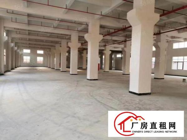  石排楼上标准厂房3000方出租租16.5元，水电齐全，形象好