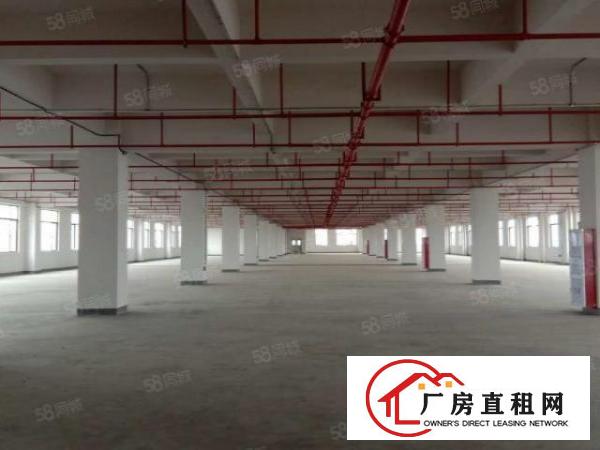  石排原房东12米砖墙到顶厂房11000证件齐全可办.。。。。