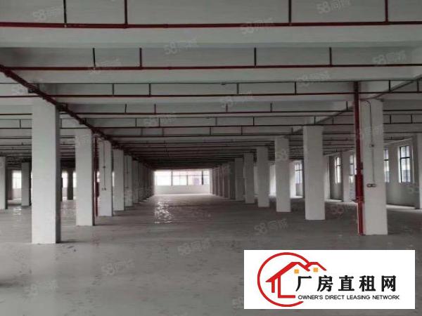  石排原房东12米砖墙到顶厂房11000证件齐全可办.。。。。