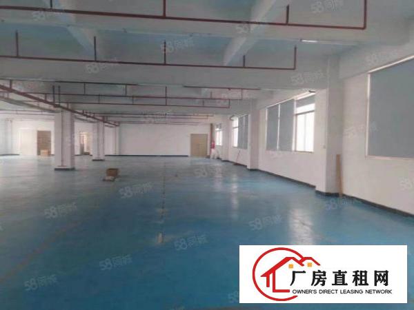  石排新出一楼500平方。一楼工业用地