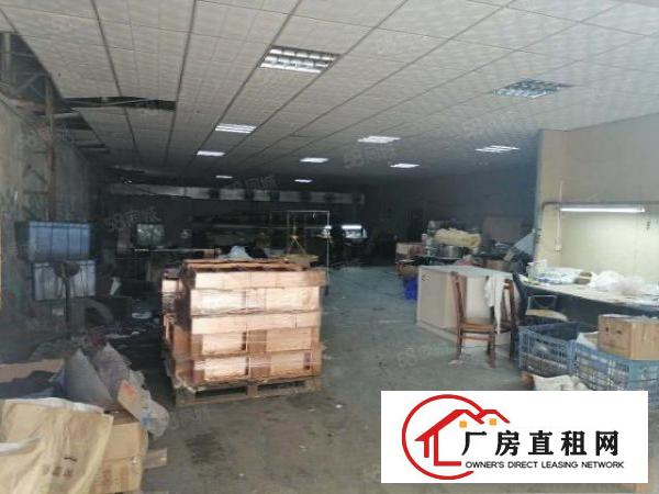  石排标准厂房出租，有土地证，工业厂房，具有消防栓和喷淋!