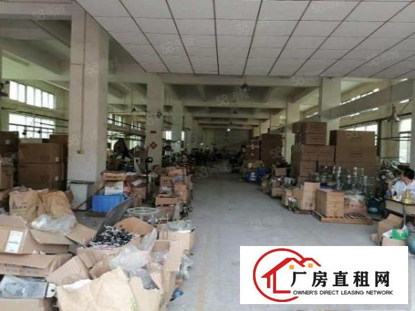  石排标准厂房出租，有土地证，工业厂房，具有消防栓和喷淋!