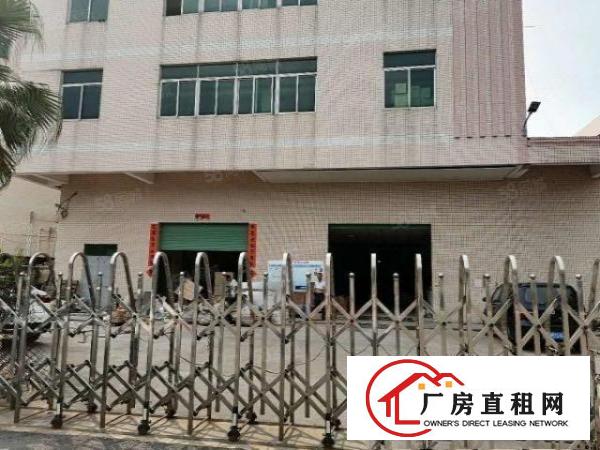  石排标准厂房出租，有土地证，工业厂房，具有消防栓和喷淋!