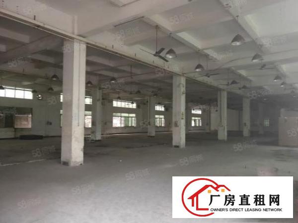  石排田寮原房东小独院厂房3200平方招工，带装修价格实惠