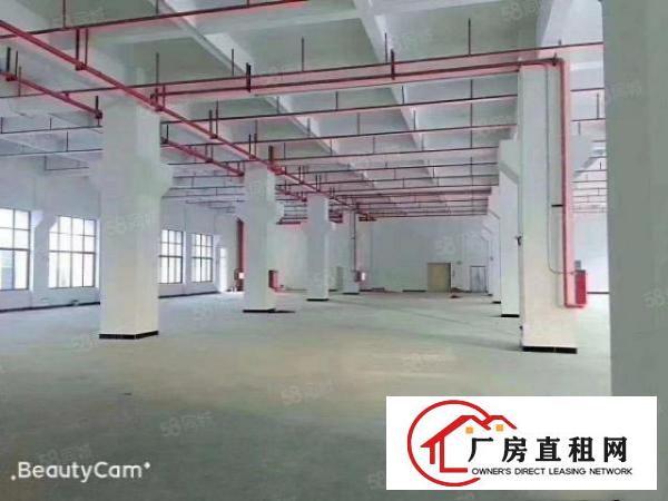  证件齐全带喷淋消防石排镇原房东新标准厂房3000平方出租