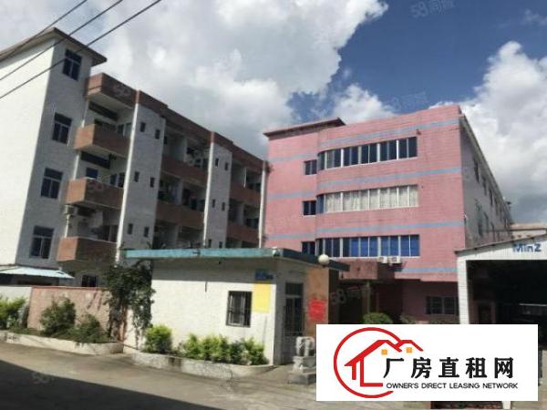  石湾经典原房东独门独院标准厂房出租