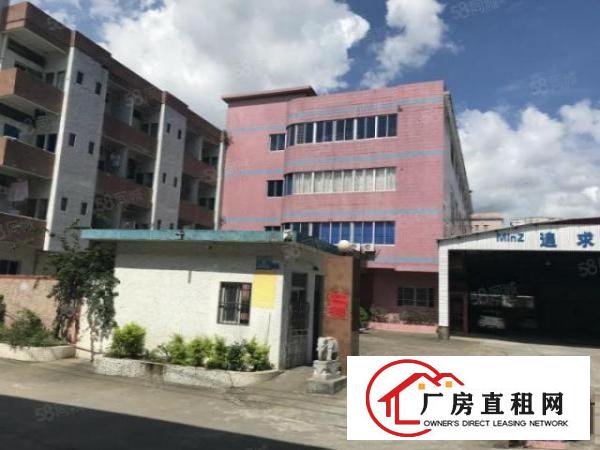  石湾经典原房东独门独院标准厂房出租