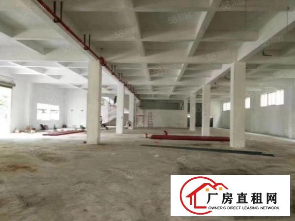  石湾经典原房东独门独院标准厂房出租