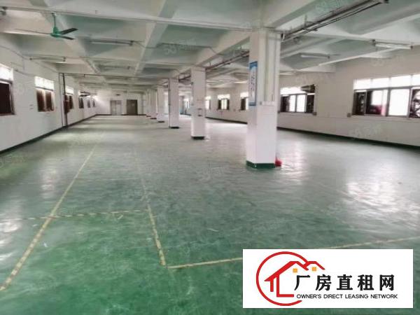  石排镇利屋附近带牛角原房东厂房出租厂房面积13层4800