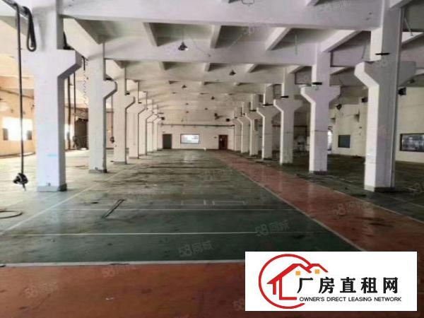  形象好带牛角地坪漆，石排新出标准面积1500平方出租