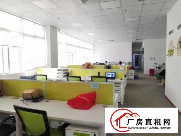  形象好带牛角地坪漆，石排新出标准面积1500平方出租