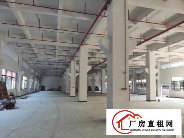  石排谷吓自用厂房分租一楼2000平方，高度6米，空地大