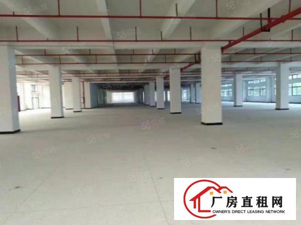  标准独院厂房国有土地可分租消防喷淋超大空地独立使用