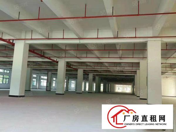  标准独院厂房国有土地可分租消防喷淋超大空地独立使用