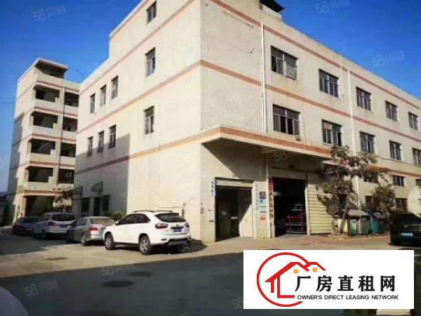  标准独院厂房国有土地可分租消防喷淋超大空地独立使用