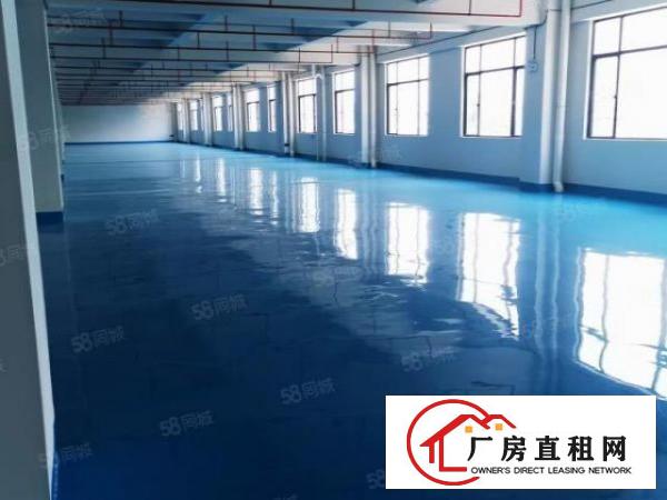  原房东厂房招租.现成办公室.空地面积大.可办环评