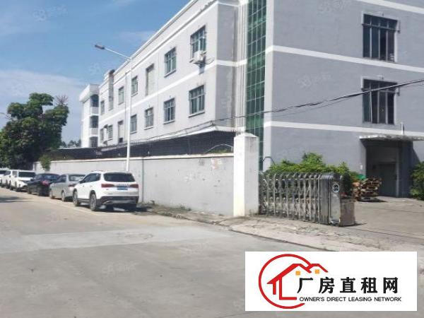  石排庙边王新出标准独院厂房4800平方，形象好，空地大好招工