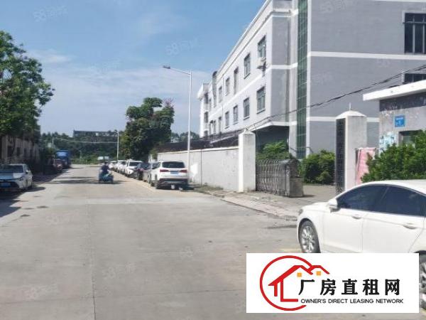  石排庙边王新出标准独院厂房4800平方，形象好，空地大好招工