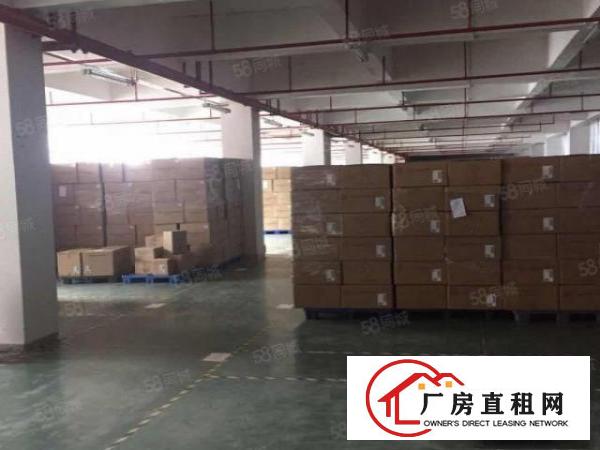  石排庙边王新出标准独院厂房4800平方，形象好，空地大好招工