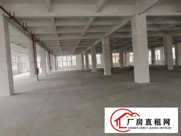  石排水贝工业园标准一楼厂房500~3000平方分租，水电齐全