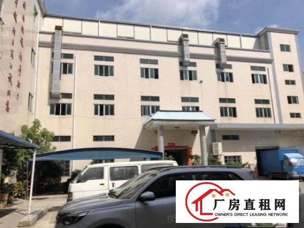  经典独院厂房出租6600平米形象交通好