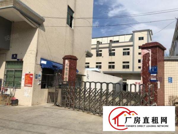  经典独院厂房出租6600平米形象交通好