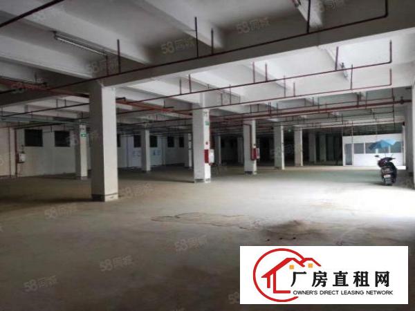  拎包入住，带喷淋消防石排镇新出独院标准厂房1000平米招租