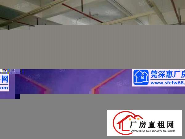  证件齐全，带喷淋消防石排镇独院标准厂房10000平方出租