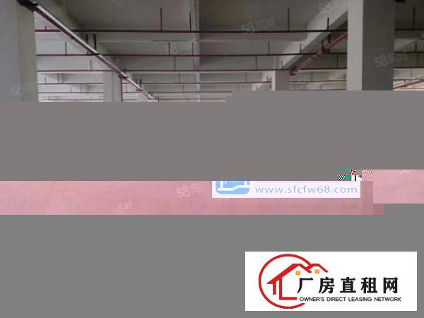  证件齐全，带喷淋消防石排镇独院标准厂房10000平方出租