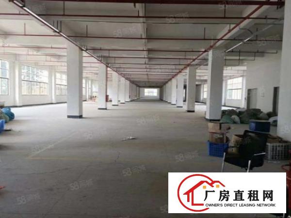  证件齐全，带喷淋消防石排镇独院标准厂房10000平方出租