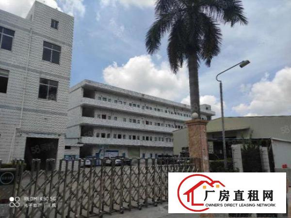  原房东厂房招租.精装办公室