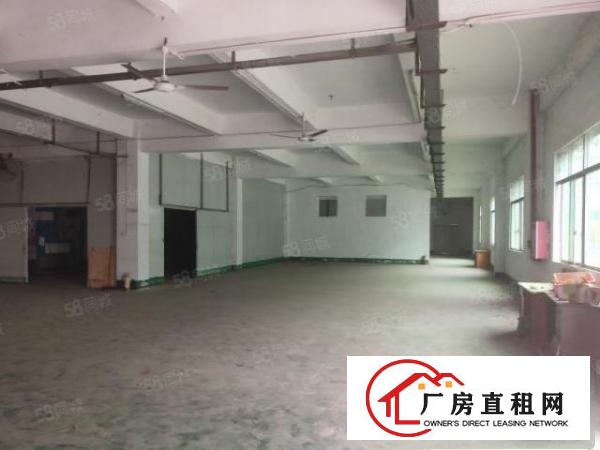  石排谷吓标准工业园分租一楼700平方，水电齐全形象好空地大