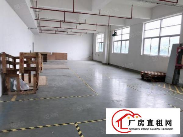  石排原房东独院标准独院厂房分租1楼2200平方，工业用地