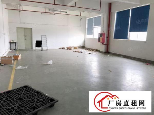  石排原房东独院标准独院厂房分租1楼2200平方，工业用地