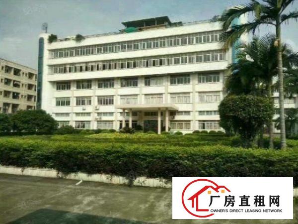 今日更新石排工业园厂房出租大小分租