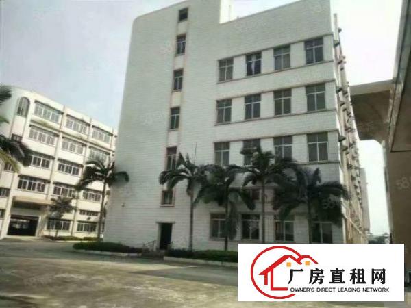  今日更新石排工业园厂房出租大小分租