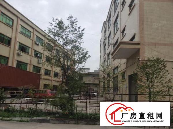  石排李家坊原房东标准工业园分租三楼1480平方，带豪华装修