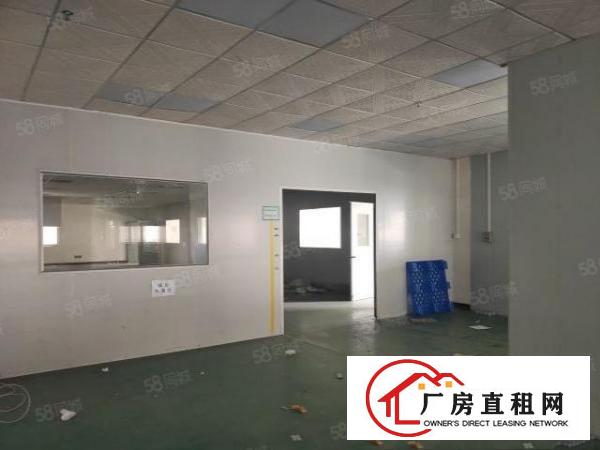  石排李家坊原房东标准工业园分租三楼1480平方，带豪华装修
