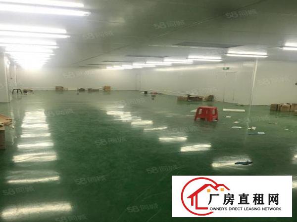  石排新出一楼高度5米700平，标准厂房空地大