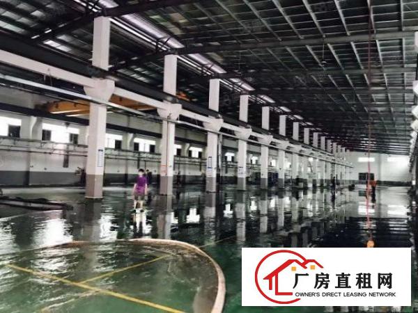  石排镇独栋1600平米现成水电搬进就可生产