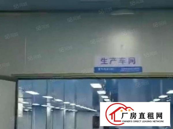  石排镇原房东九层新独院钢构6000平米