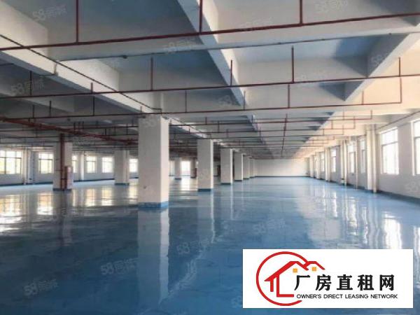  石排镇原房东九层新独院钢构6000平米