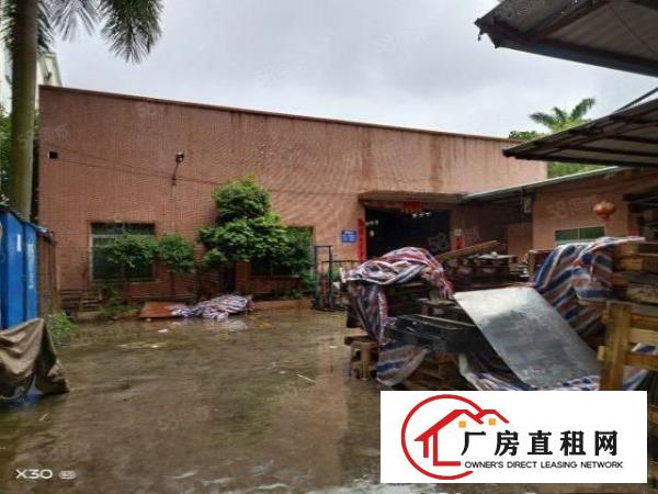 石排镇独院钢构厂房1750，有办公室宿舍配套，空地500