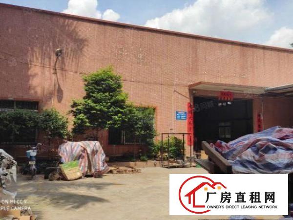  石排镇独院钢构厂房1750，有办公室宿舍配套，空地500
