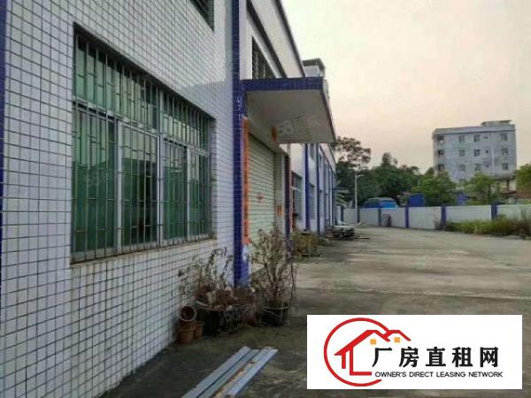  石排独院铁皮1500方，中间没柱子，原房东周边没有居民，