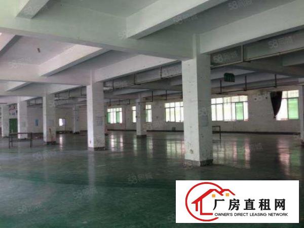  新出石排经典独院标准厂房5200宿舍1800带行车