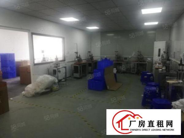  石排标准厂房楼上700方租15元，现成的无尘车间，办公室装修