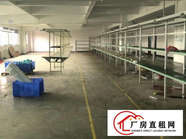 石排庙边王楼上标准厂房700方租11元，现成办公室车间水电