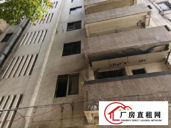  包租的福音，41间房，全部都有窗户，